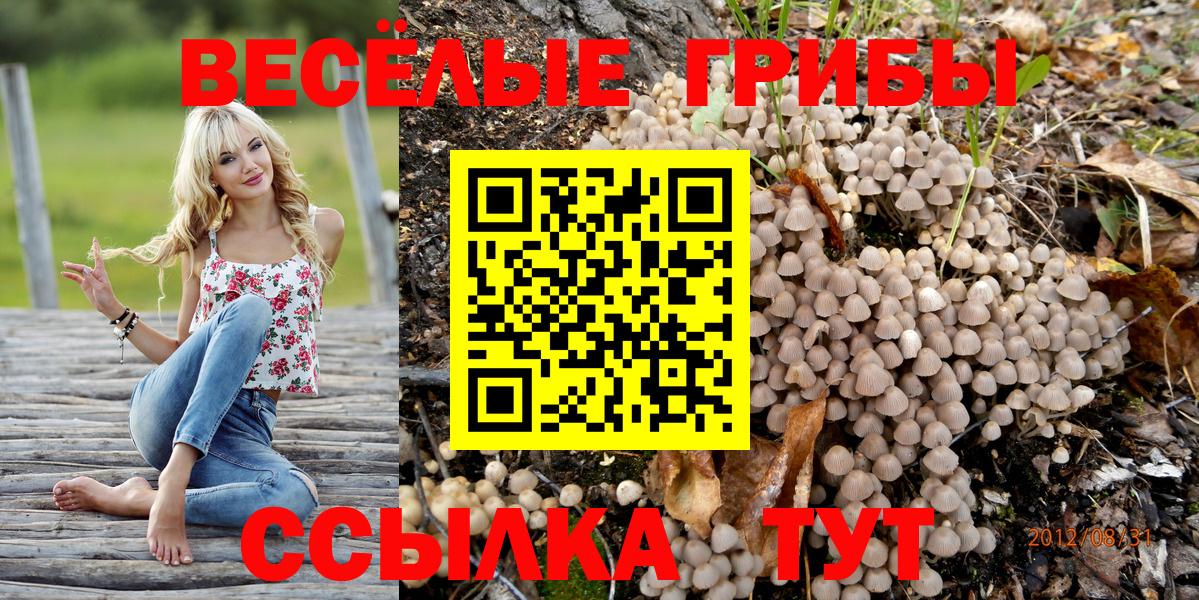 Альфа ПВП СК   МЕТАДОН  ГАШ  КОКАИН  Вход с VPN  МЕФ   Ногинск  Мефедрон 