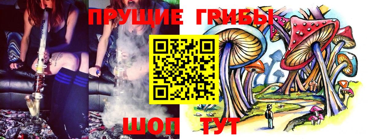 Ногинск  Галлюциногенные грибы Psilocybe  Вход с VPN  Псилоцибиновые грибы Magic Shrooms 