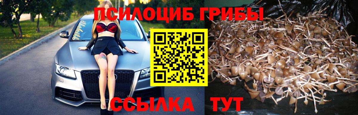 Галлюциногенные грибы мухоморы Ногинск